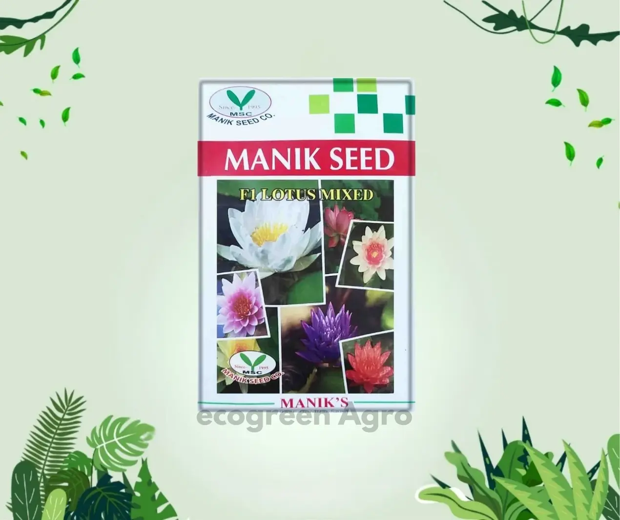 F1 Lotus (পদ্ম) Flower Seed Mixed color