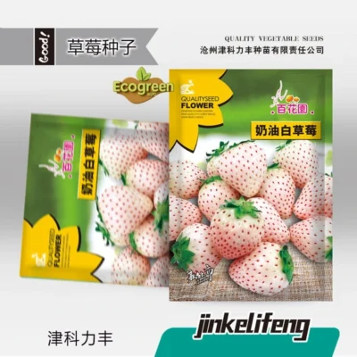 Cream White Strawberry সাদা স্ট্রবেরি