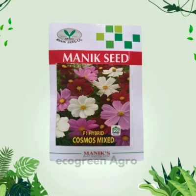 F1 Cosmos (কসমস) flower seed mixed color