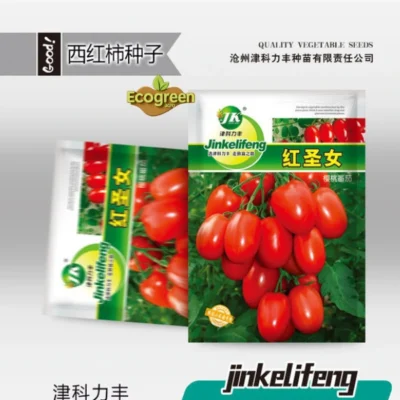 Cherry Tomato Seed (Red) Imported