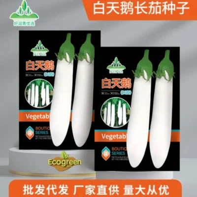 White Swan Long Brinjal লম্বা সাদা বেগুন