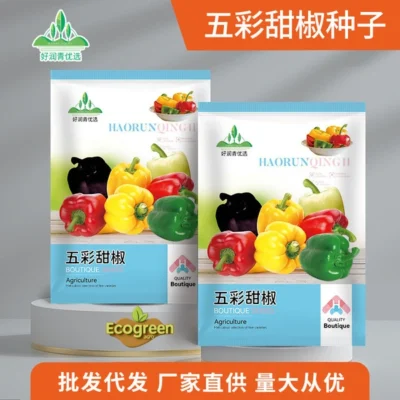 Mixed colour capsicum 100 seeds রঙিন ক্যাপসিকাম