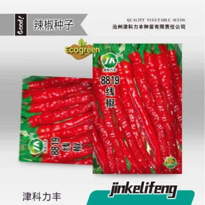 8819 long pepper লম্বা শুকনা মরিচ