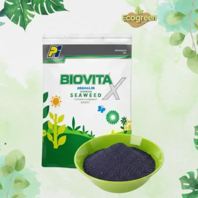 Biovita X Seaweed Extract (Granules) -100gm (Re-Packet)