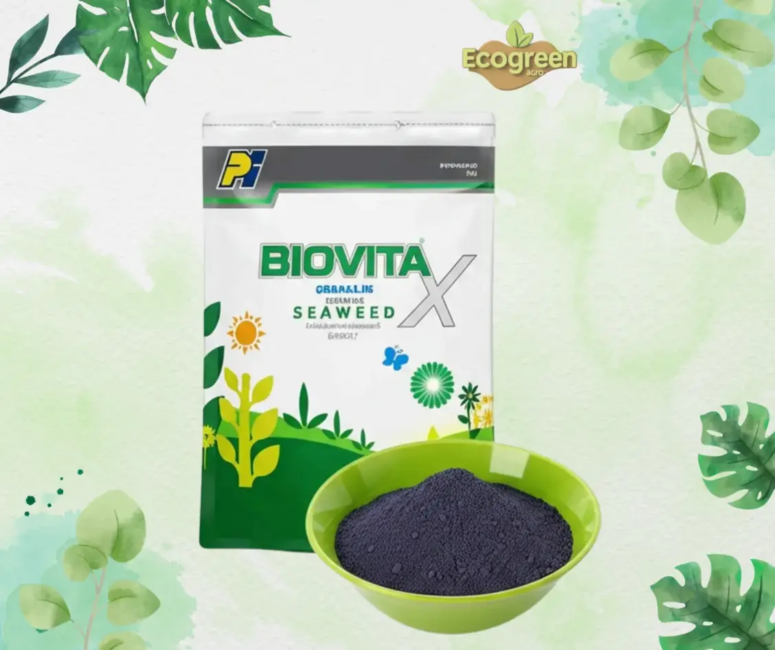 Biovita X Seaweed Extract (Granules) -100gm (Re-Packet)