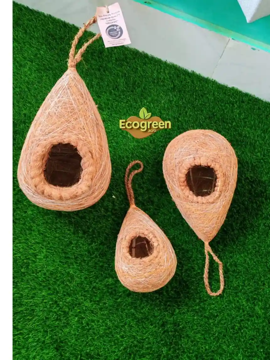 Bird Nest পাখির বাসা - Image 3