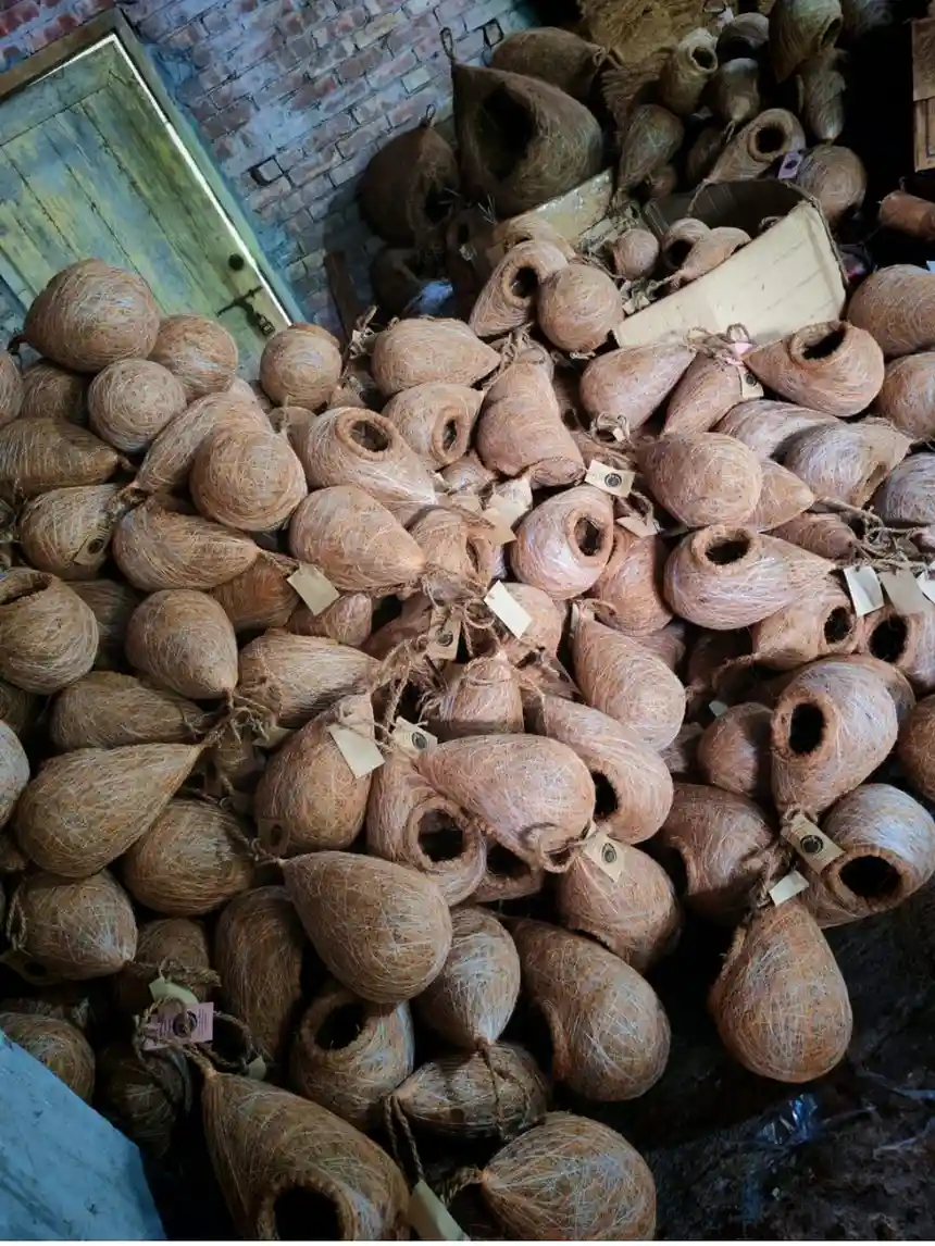 Bird Nest পাখির বাসা - Image 5