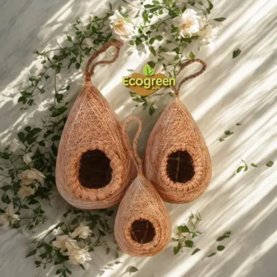 Bird Nest পাখির বাসা