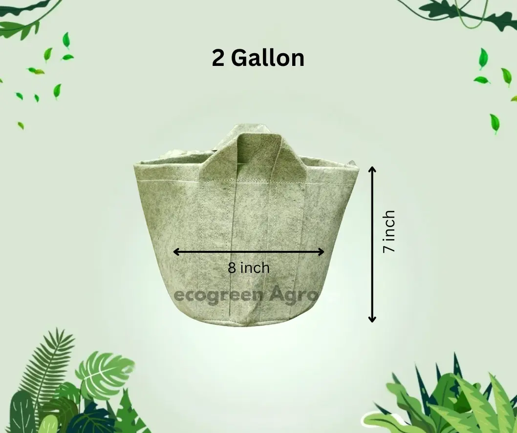 Geo Bag 2 Gallon 600 GSM
