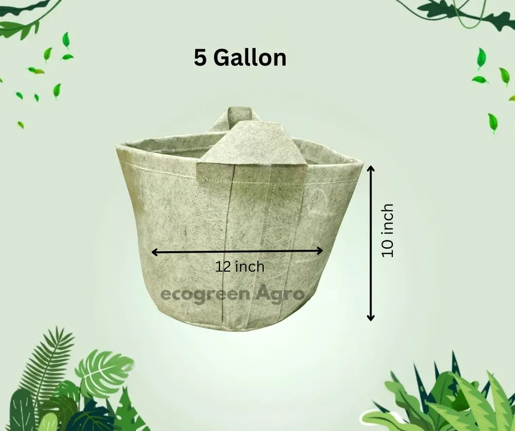 Geo Bag 5 Gallon 600 GSM