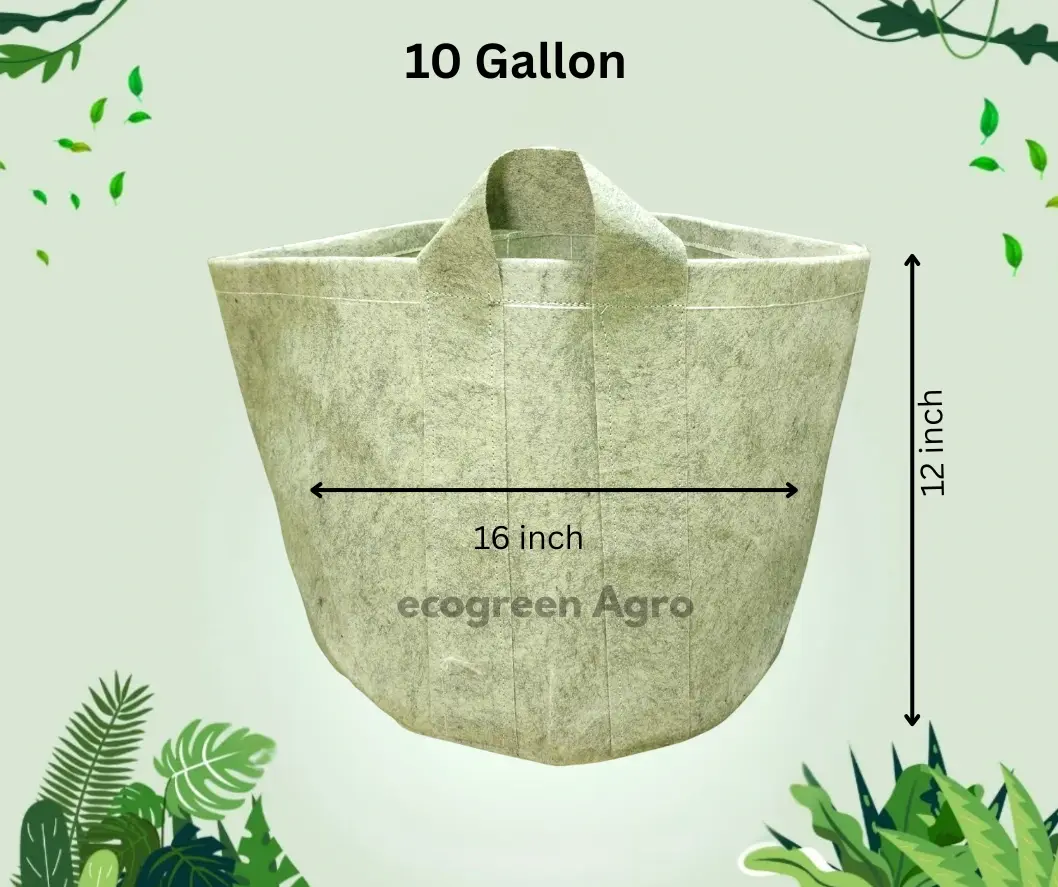 Geo Bag 10 Gallon 600 GSM
