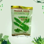 বারোমাসি সাজনা ODC-3