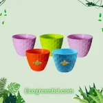 10 cm Succulent Planter -5Pcs