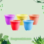 10 cm Modern Succulent Tub - 5Pcs