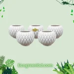 4 Inch Boll Pot White -5 Pcs
