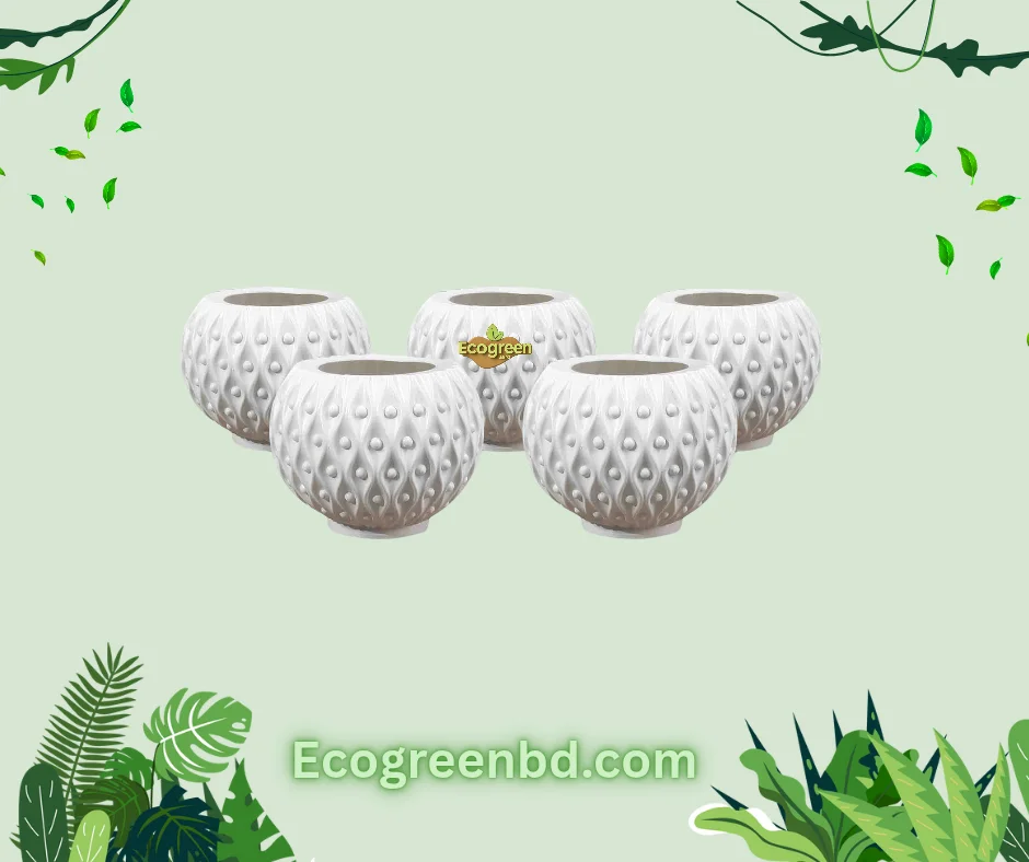 1000093535 4 Inch Boll Pot White -5 Pcs - Image 1