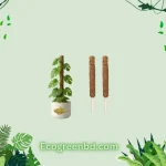 12 Inch Cocopole Grow Stick