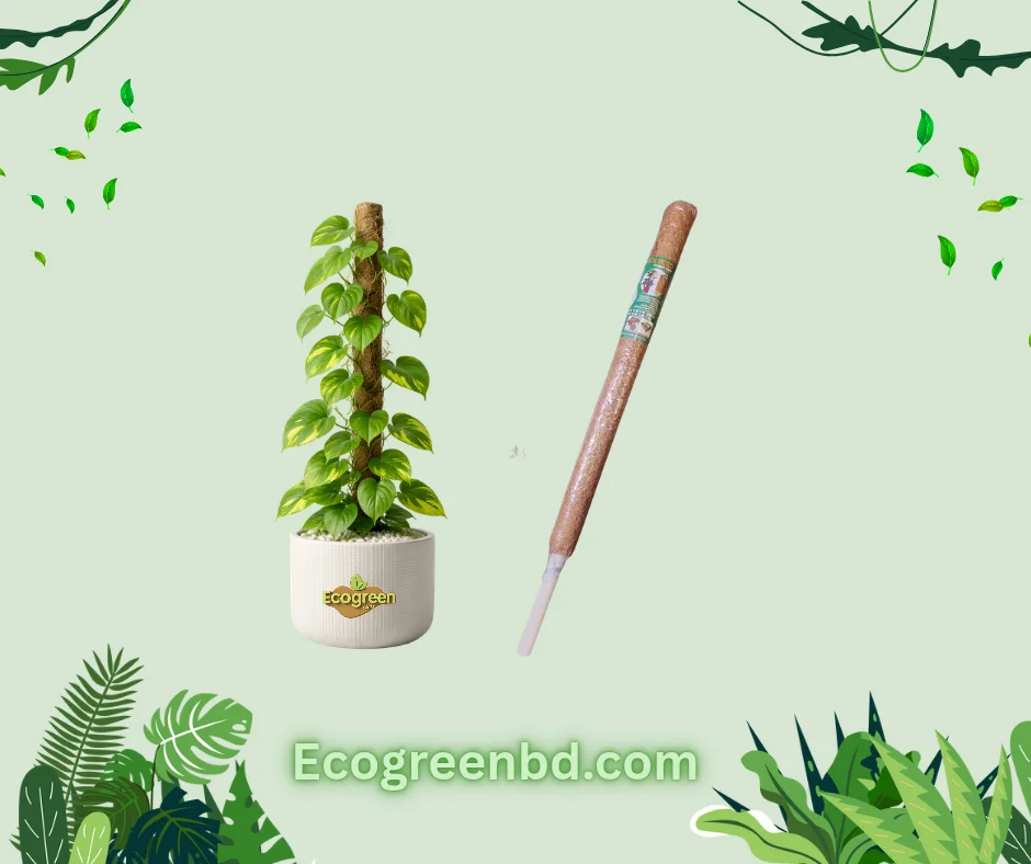 1000093540 30 Inch Cocopol Grow Stick - Image 1