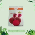 F1 Hybrid Beetroot বিটরুট