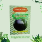 F1 Brinjal Black Ball তাল বেগুন
