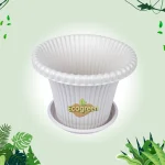 Daisy Flower Tub with Tray 8″ White