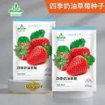 Four seasons Cream strawberry 300 pieces স্ট্রবেরি