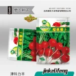 Cherry Radish 500 pieces চেরি মূলা বীজ