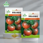 Strawberry fruit tomatoes স্ট্রবেরি  টমেটো