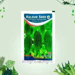 Bitter gourd উস্তে মাঝারি বারোমাসি