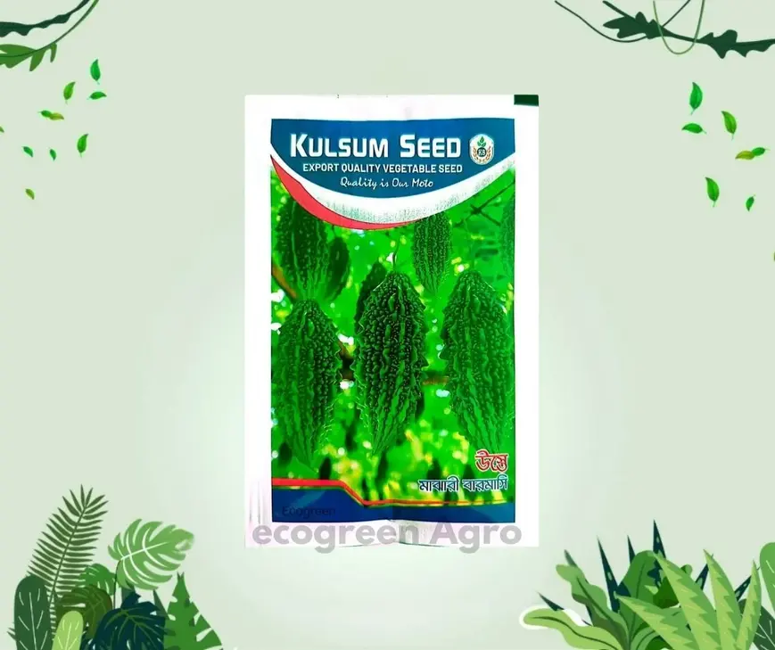 43_20251020_005512_0042-1 Bitter gourd উস্তে মাঝারি বারোমাসি - Image 1