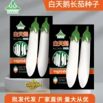White Swan Long Brinjal লম্বা সাদা বেগুন
