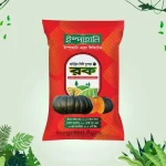 Hybrid (F1) Sweet Gourd ROCK মিষ্টি কুমড়া