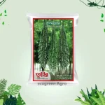 Hybrid Bitter Gourd করলা