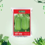 Hybrid (F1) Ash Gourd (চাল কুমড়া)