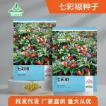 Ornamental chilli কালারিং মরিচ