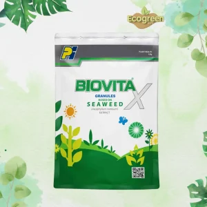 Biovita X SEAWEED Extract Granules 1kg picture