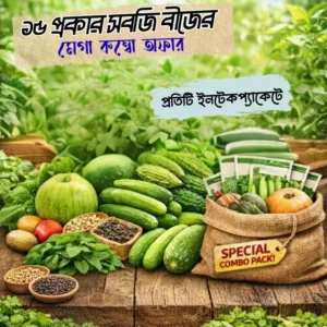 Vegetable seed combo offer bd