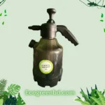 High Pressure Transparent Garden Sprayer 3L picture