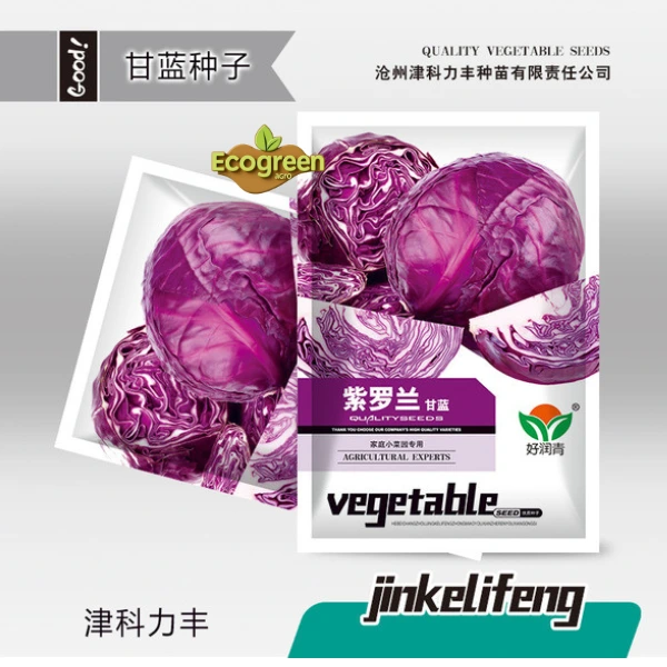 Purple cabbage 200 seeds বেগুনি বাঁধাকপি